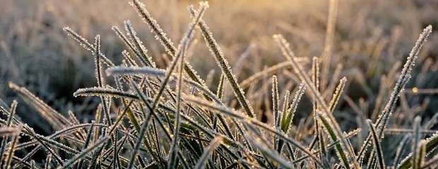 El invierno llega con pocas lluvias y mucho frío