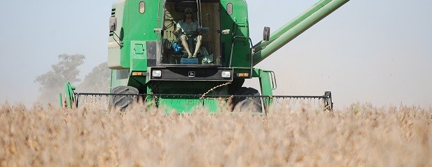 La producción de soja será la más baja en 23 años