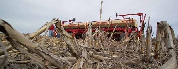 El Niño muestra un impacto débil de julio a septiembre  