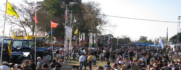 Expo Villaguay mostró un Angus cada vez más federal