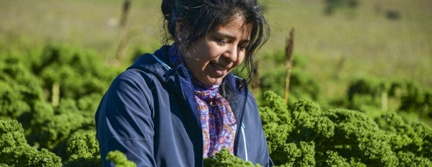 Abren convocatoria al Programa Mujeres Produciendo Alimentos