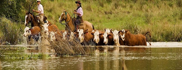 La provincia toma medidas de evacuación de la hacienda 