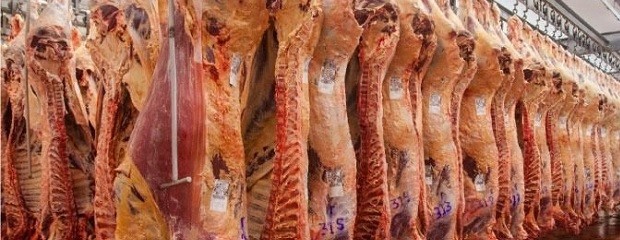 Exportaciones de carne cerrarán con merma de 28% interanual