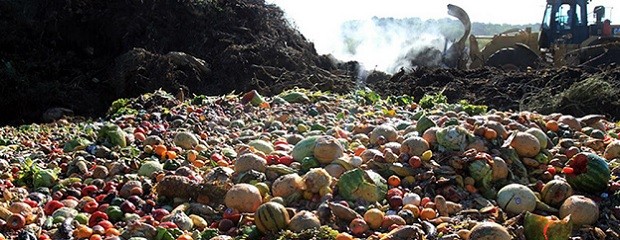 El desafío de no desperdiciar alimentos