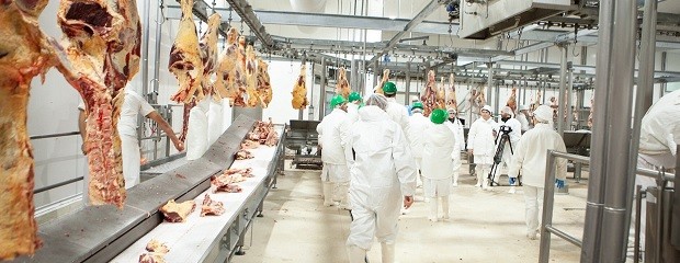 Argentina busca exportar carne bovina con hueso a Israel