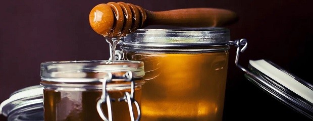 La hidromiel: un valor agregado para la apicultura