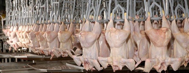 Piden a China la reapertura de exportaciones de carne aviar