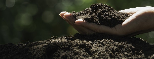 Agricultura regenerativa, clave ante el cambio climático