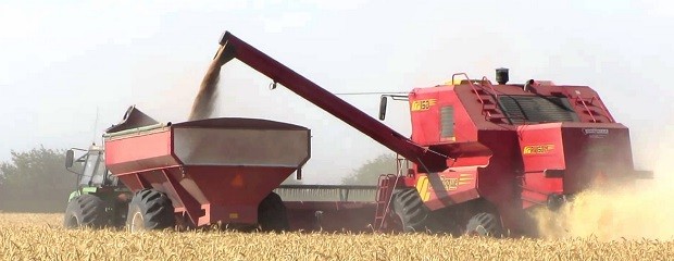 La cosecha nacional de trigo aumentó más del 28%