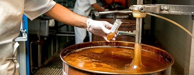 Entre Ríos: buscan fortalecer producción de miel y derivados