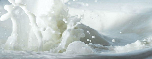 La producción de leche comenzó el año con una caída de 12,6%
