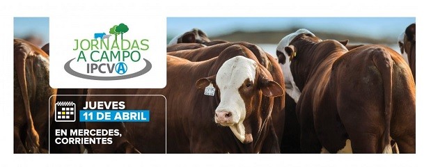 En abril llega una jornada a campo del IPCVA en Corrientes