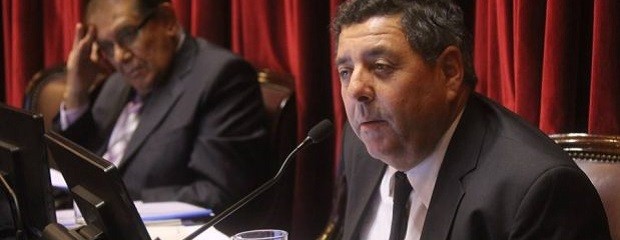 De Angeli presidirá la Comisión de Agricultura del Senado