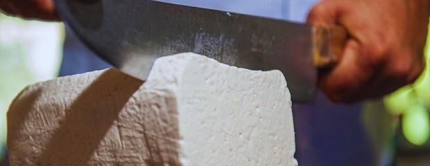 Presentan queso que ayuda a reducir riesgo de enfermedades