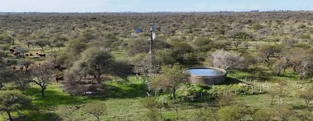Impulsan la ganadería en ambientes de bosques nativos