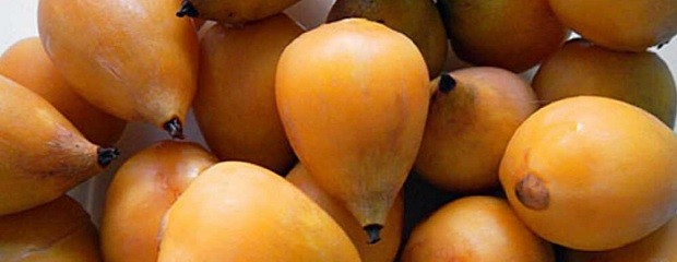  El yatay forma parte del Código Alimentario Argentino