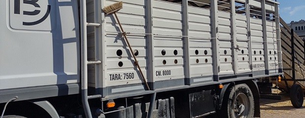 Entra en vigencia el DUT en la provincia de Entre Ríos