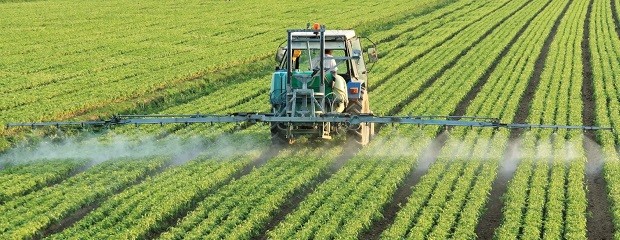 Senado: Comenzó el análisis del proyecto de fitosanitarios