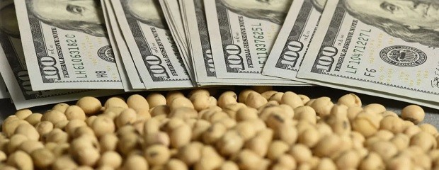 DEX: El ingreso no percibido sería de U$S 400 millones