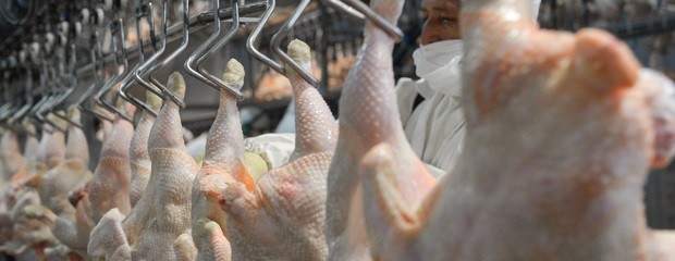 Se reabre el mercado de Japón para carne aviar