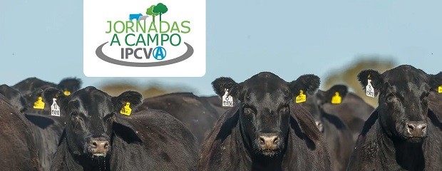 Nueva Jornada a campo del IPCVA en Mendoza