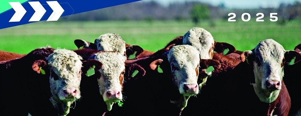 Río Cuarto sede del 14° Congreso Nacional de Sanidad Animal