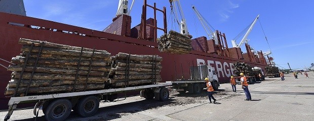 Madera a India: Ingresan buques a Concepción del Uruguay