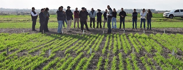 Impulsan desarrollos científicos que sirvan al campo