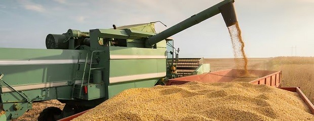 El USDA recortó la producción mundial de soja