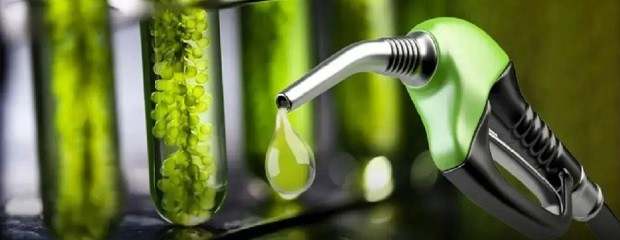 Es ley el fomento a la producción de biocombustibles