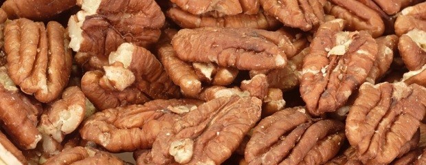 Abre el mercado de Israel para exportar nuez pecán