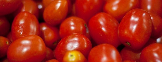 Actualizan reglamento sobre calidad e identidad del tomate