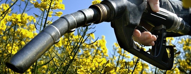 Fijan nuevos precios para los biocombustibles