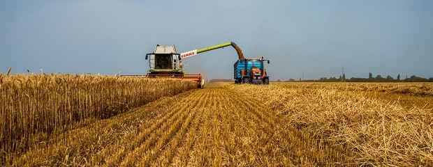Presupuesto 2026: ¿Cuánto destinará el Gobierno al agro?