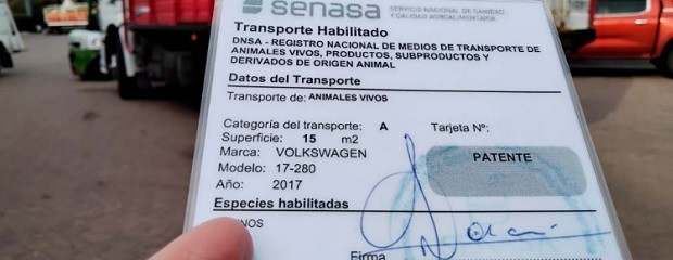 Nueva habilitación de transportes de animales vivos 