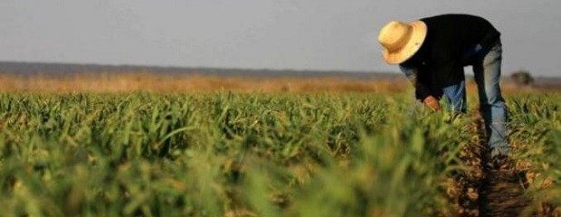 Hay preocupación por la caducidad del Decreto 514/2021