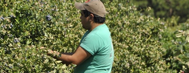 El RENATRE aumenta la Prestación por Desempleo a $346.500 