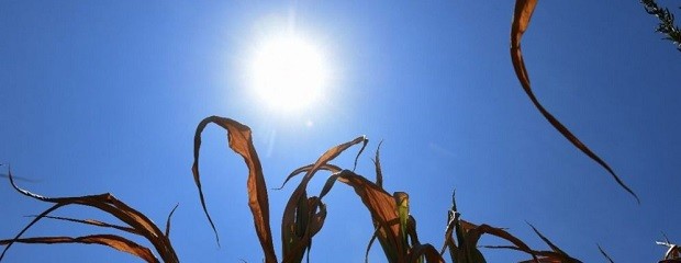Verano: tendrá lluvias irregulares y temperaturas más altas
