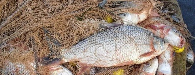 Santa Fe y Entre Ríos acuerdan medidas para ordenar la pesca
