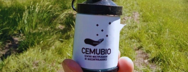 Exportan controladores biológicos para frutales