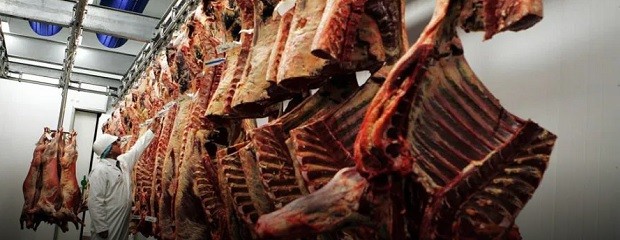 El Gobierno unifica y actualiza régimen de cuotas cárnicas 