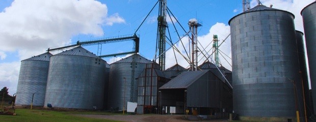 Pautas para reducir el riesgo de mezclas en la cosecha