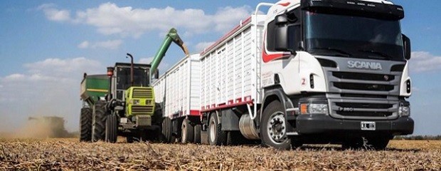 El peso de los impuestos en el agro continúa siendo alto