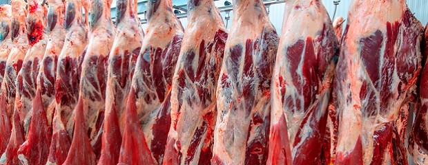 Abre inscripción para la cuota 2026 de carne vacuna a EE.UU.