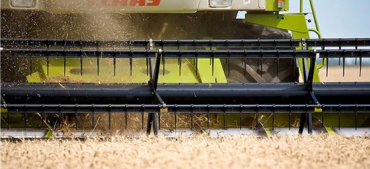 Finalizó la cosecha de trigo en Entre Ríos