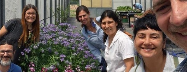 Flores comestibles, una nueva oportunidad productiva