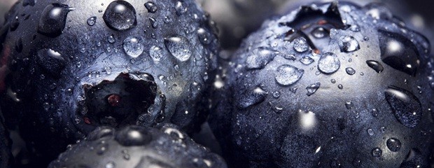 Entre Ríos certificó más de 4.200 t de arándanos en 2025