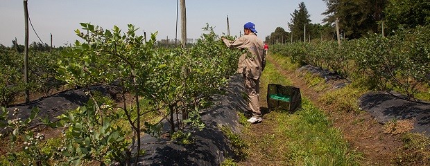 RENATRE actualizó los montos de la Prestación por Desempleo 