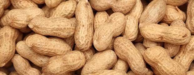 El 75% del mundo disfruta productos del agro argentino