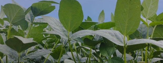 Clima: Febrero trajo alivio, ¿alcanza?  